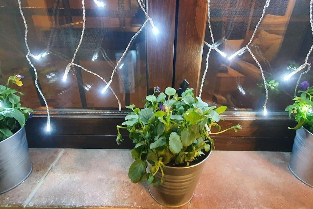 Apartamento Sefardi, Barrio Judio De Hervás Exteriör bild